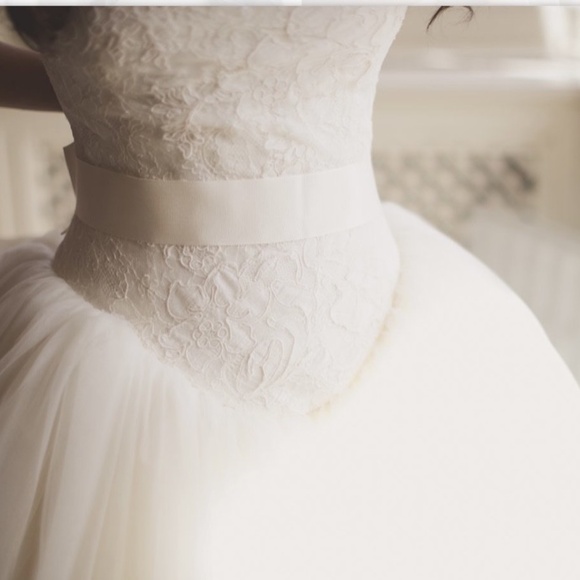 Vera Wang Wedding Gown from Bride Wars - Picture 3 of 10